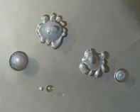water bacteria water bacteria